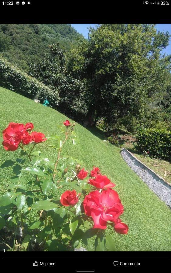 Villino Iso Bed & Breakfast La Spezia Exterior photo