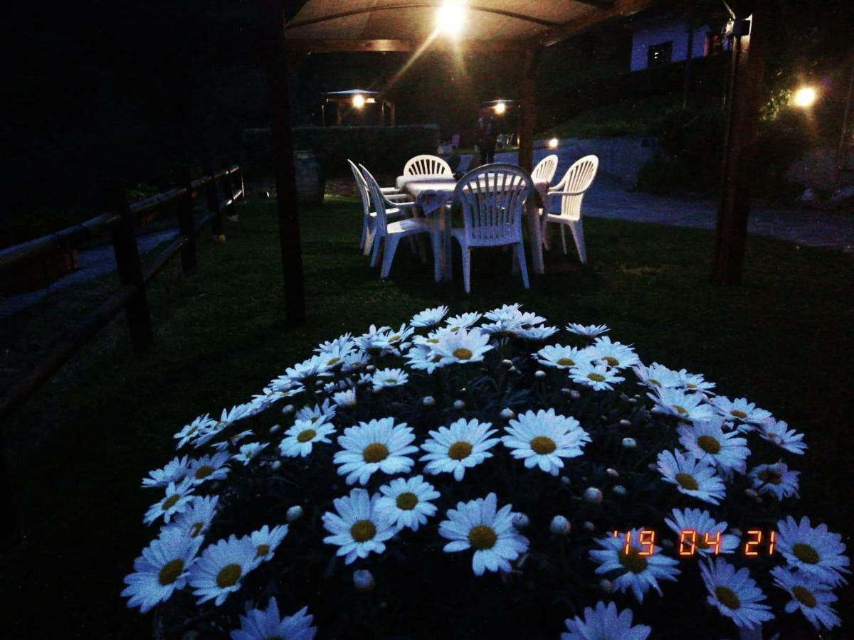 Villino Iso Bed & Breakfast La Spezia Exterior photo